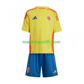 Maillot de Foot ColombieEnfant Domicile  Copa America 2024